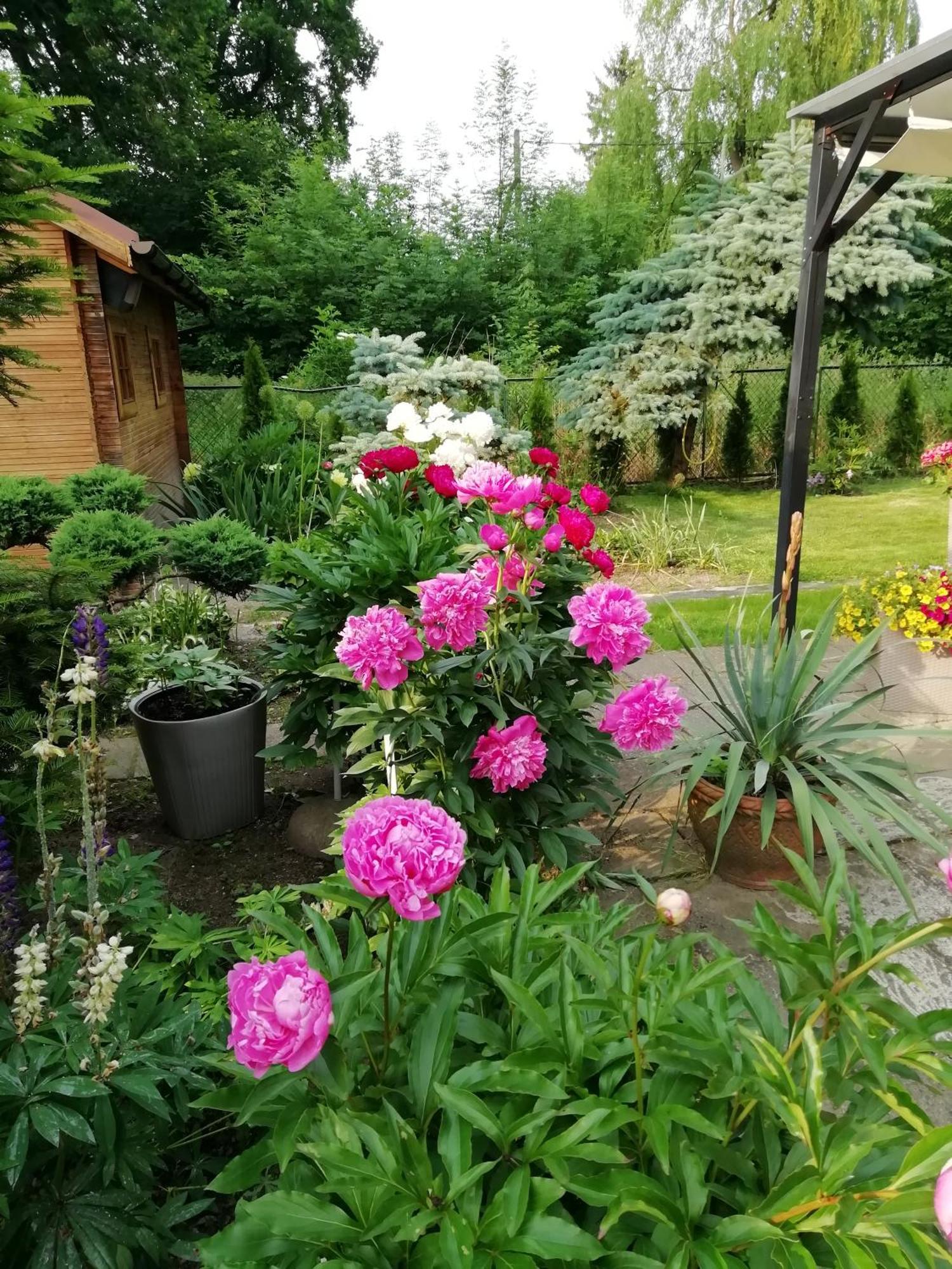 Apartament Wlodek Jelenia Góra Buitenkant foto