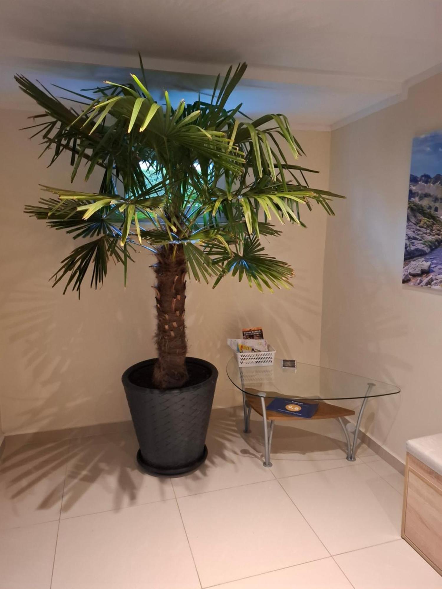 Apartament Wlodek Jelenia Góra Buitenkant foto