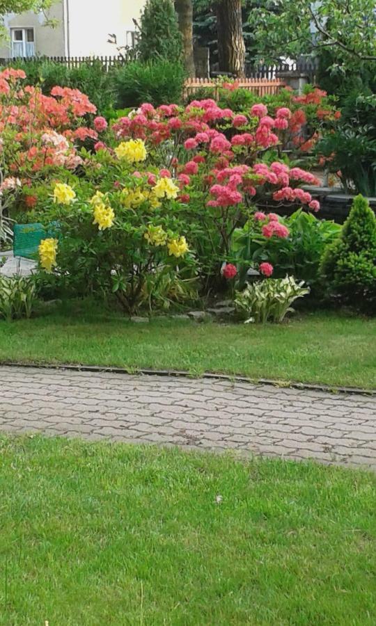 Apartament Wlodek Jelenia Góra Buitenkant foto
